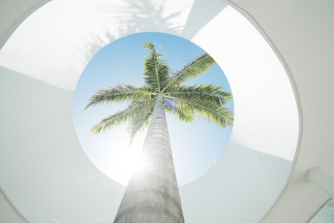 Sonstiges Royal Hideaway Corales Beach