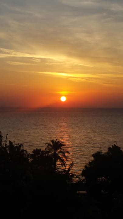 Ausblick TUI MAGIC LIFE Beldibi +16