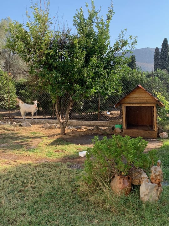 Gartenanlage Saint George Resort