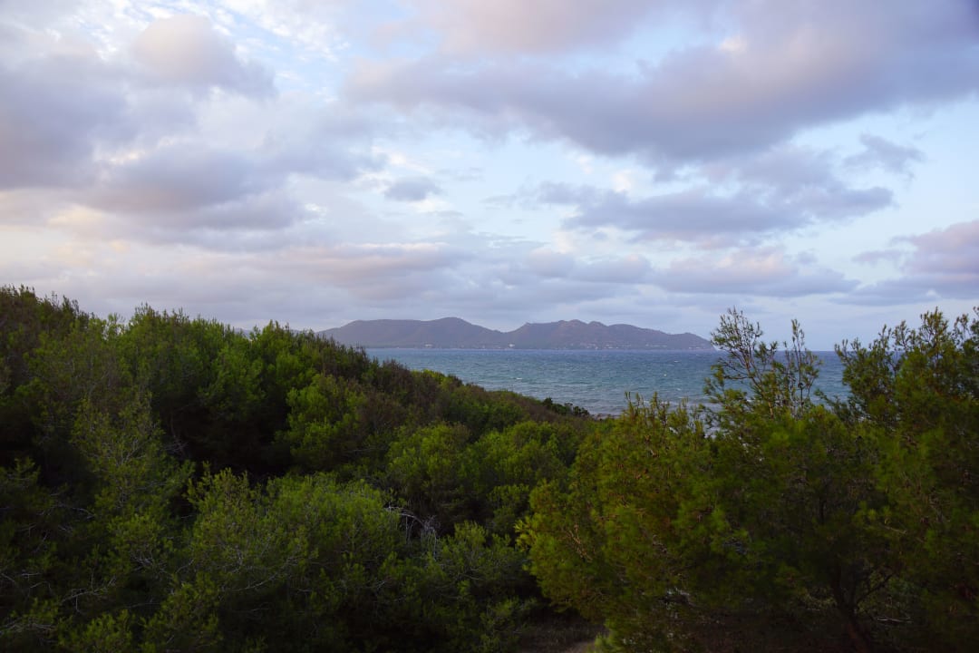 Ausblick Hipotels Bahía Cala Millor