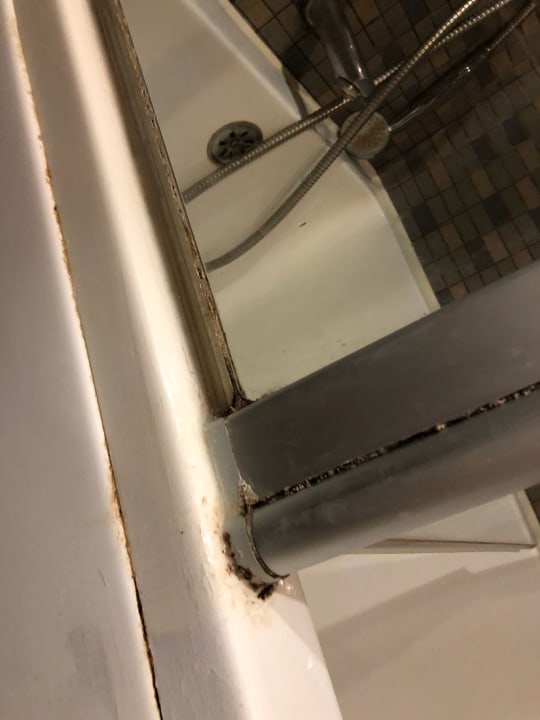 Zimmer Hotel Pine Bay Holiday Resort