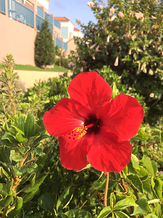 Außenansicht Fodele Beach & Water Park Holiday Resort