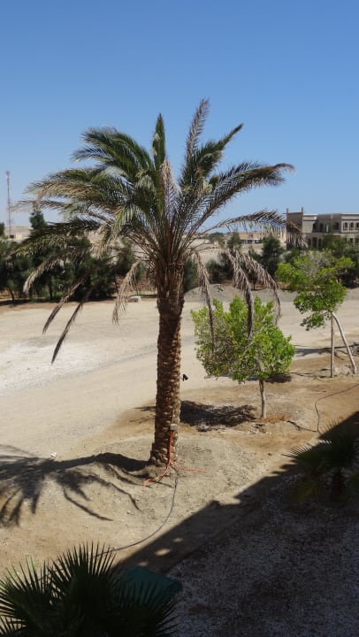 Palmy Bliss Nada Beach Resort