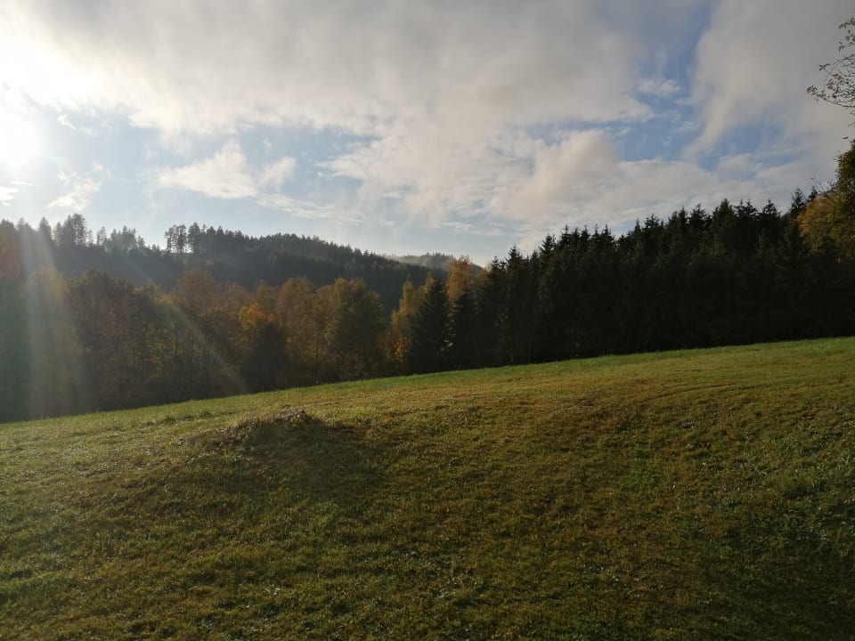 Ausblick Hotel Bayerischer Wald