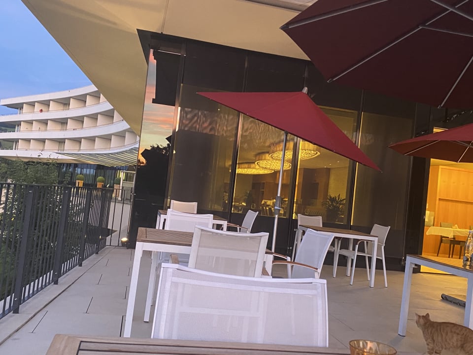 Gastro Oberwaid - Das Hotel.