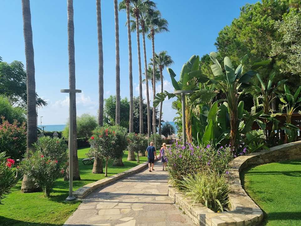 Gartenanlage Arum Barut Collection