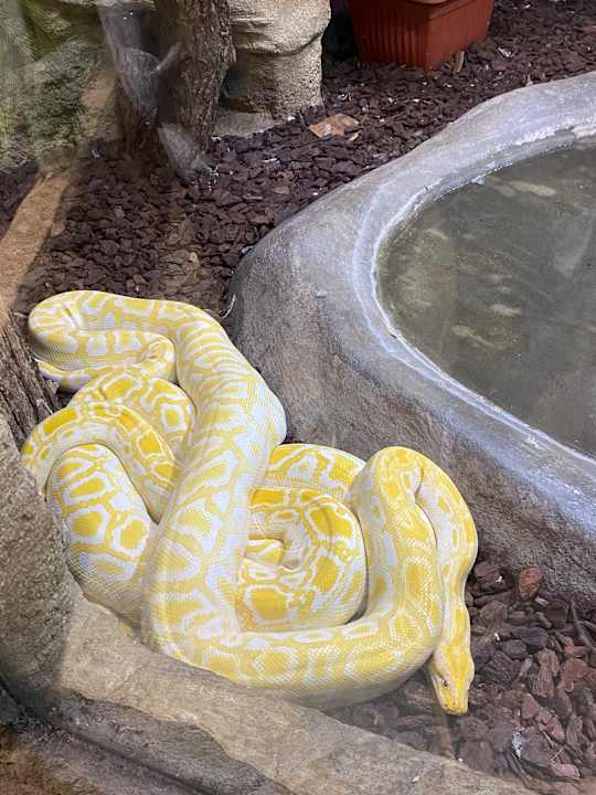 Sonstiges Ferienwohnungen Ferienpark Weissenhäuser Strand