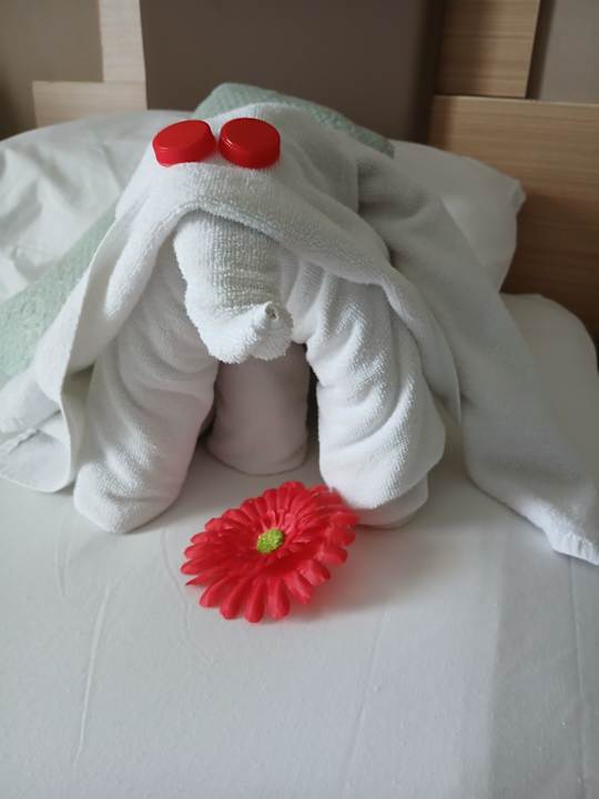 Sonstiges Telatiye Resort