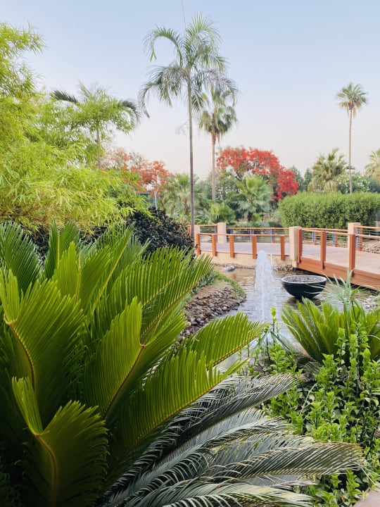Gartenanlage Grand Hyatt Dubai