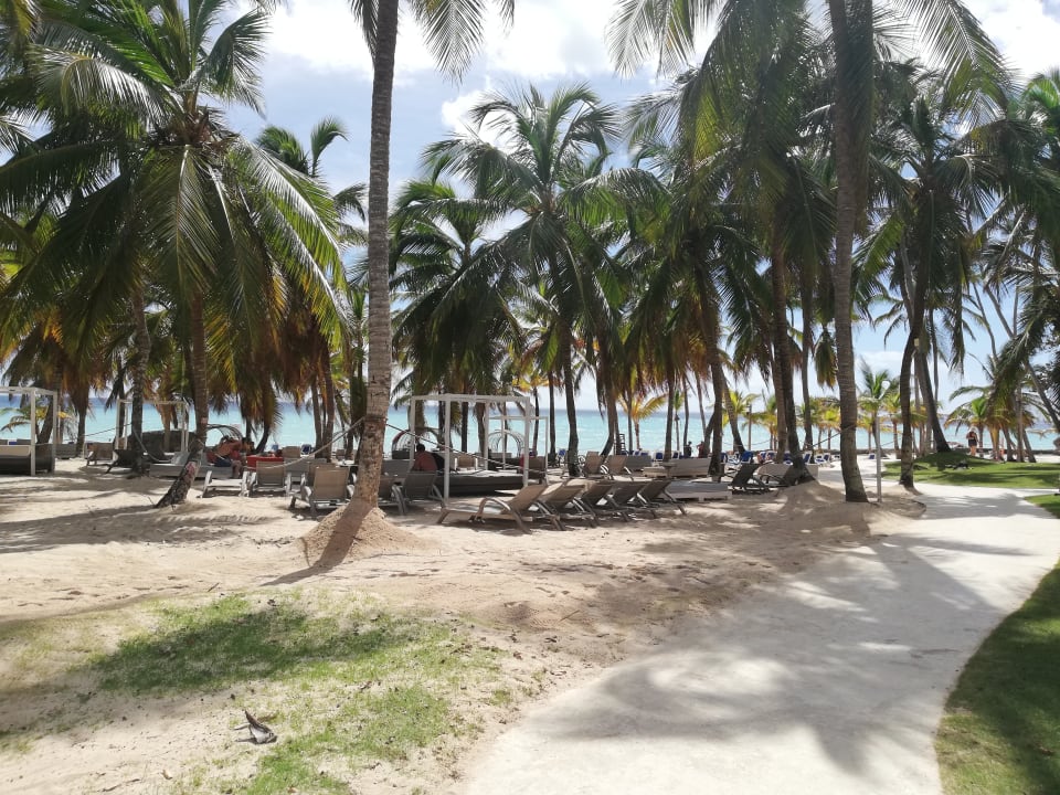 Strand Hotel Viva Dominicus Palace by Wyndham-All Inclusive Resort