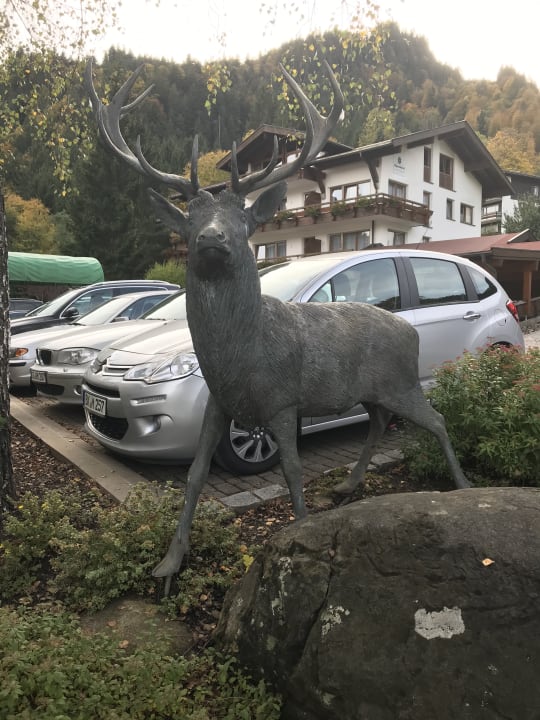 Sonstiges Alpenhotel Oberstdorf