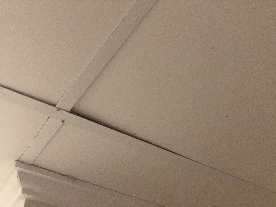 Zimmer Grand Palladium Kantenah Resort & Spa