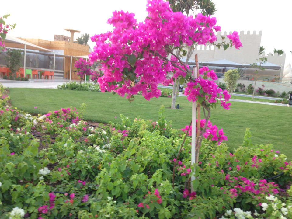 Gartenanlage Pickalbatros Aqua Park Resort - Sharm El Sheikh