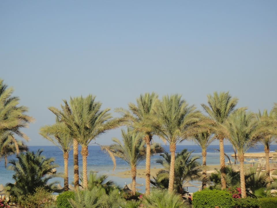 Blick auf's Meer Brayka Bay Resort