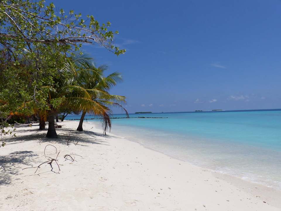 Strand bei Jacuzzi-Beach-Villen Kuredu Island Resort & Spa