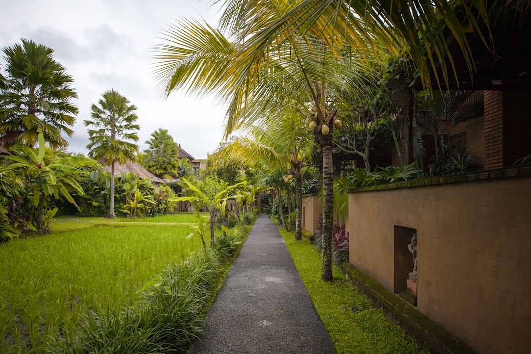 Gartenanlage Bebek Tepi Sawah Restaurant & Villas