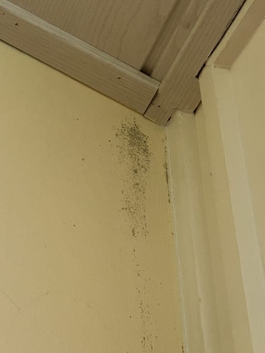 Zimmer Ferienwohnungen Ferienpark Weissenhäuser Strand