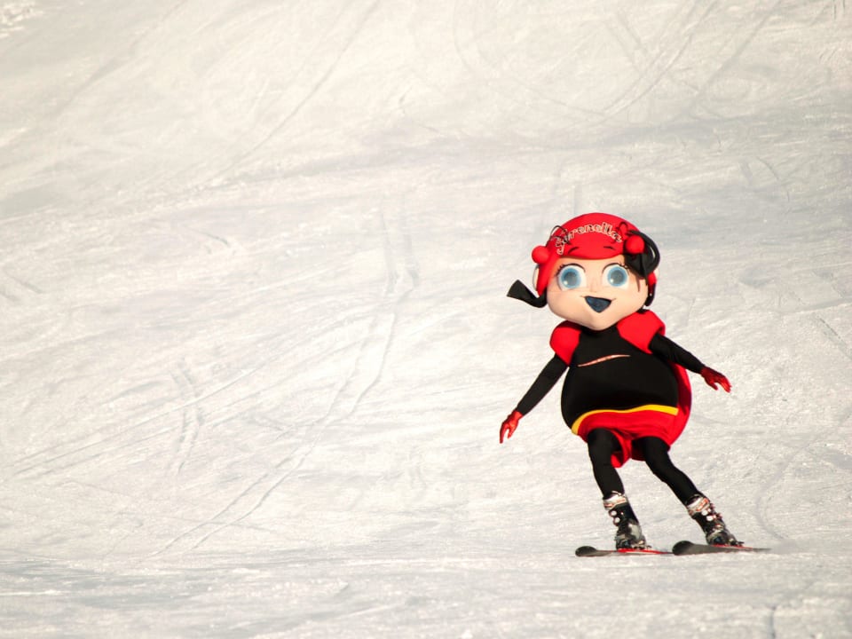 Animazione Hotel Sansicario Majestic