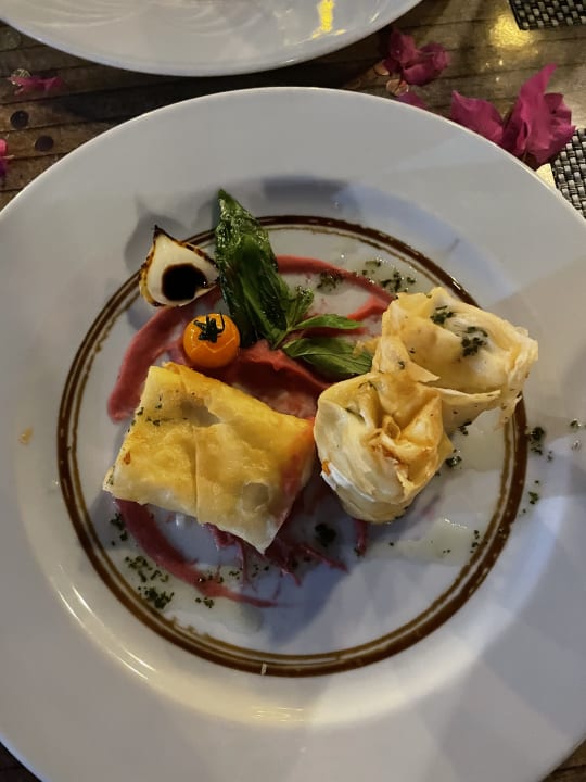 Gastro Paloma Oceana