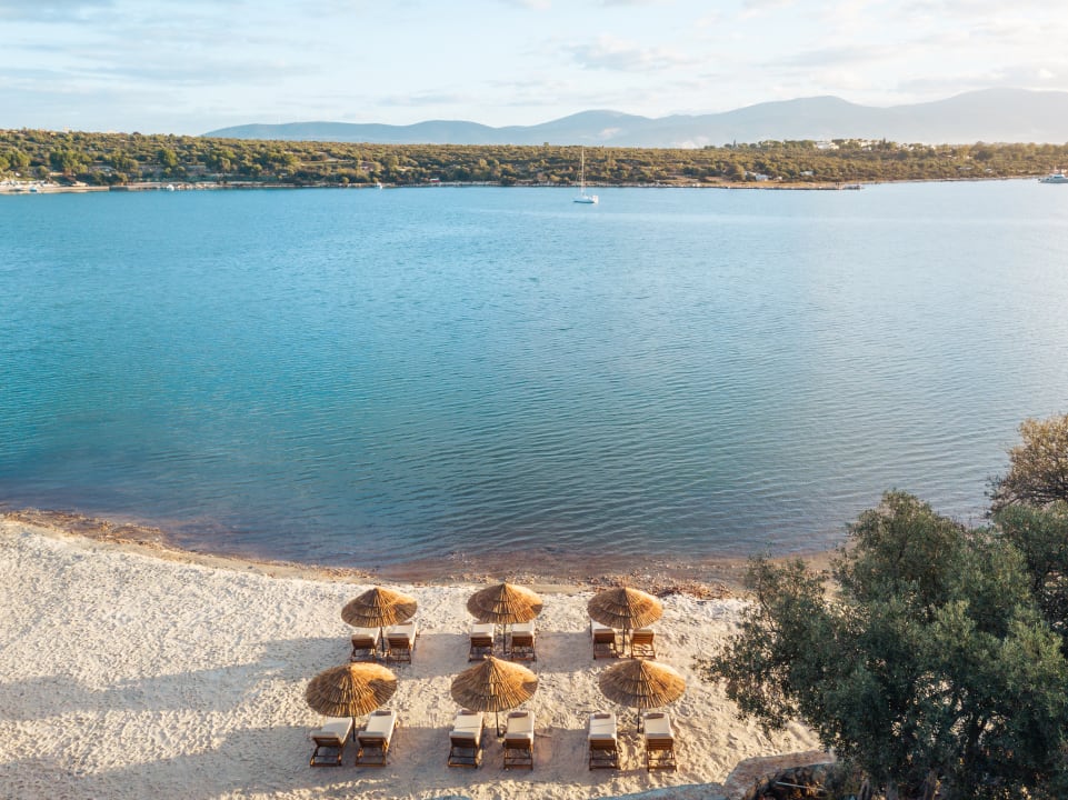 Ausblick Anda Barut Collection