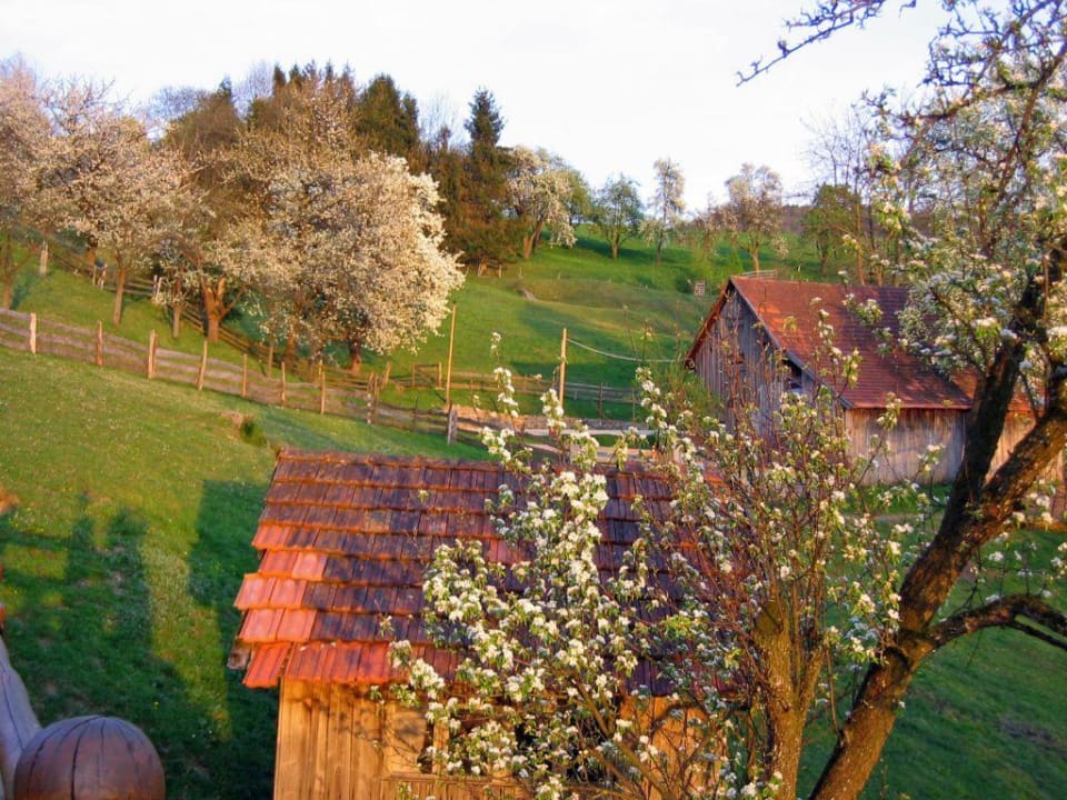 Dorferhof Abendstimmung Hotel Dorferhof