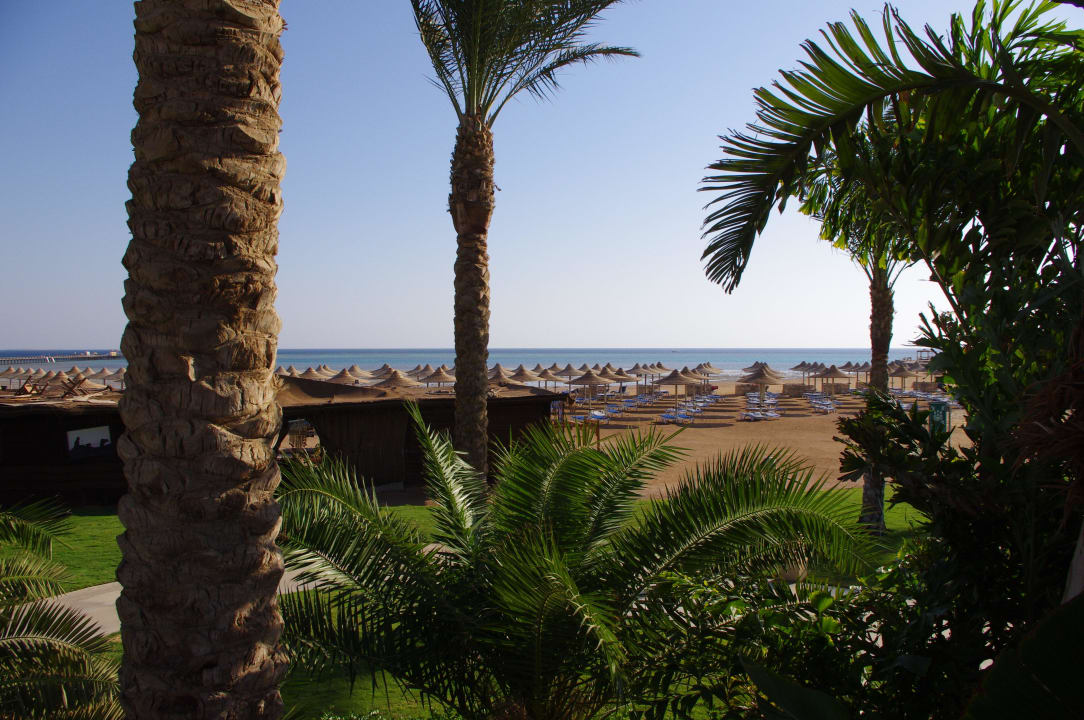 Blick auf den Strand Stella Beach Resort & Spa Makadi Bay