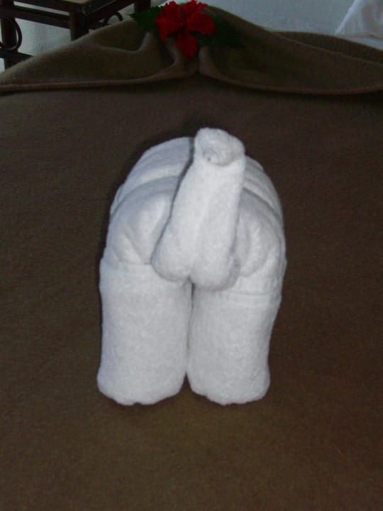 Bett-Deko Akumal Bay Beach & Wellness Resort