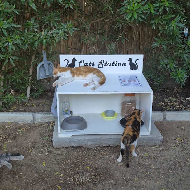 Gartenanlage Siva Grand Beach