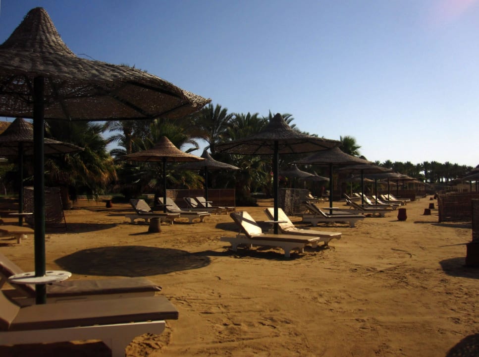 Leere Liegen Brayka Bay Resort