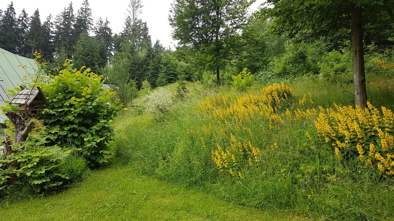 Gartenanlage Landhaus Preißinger