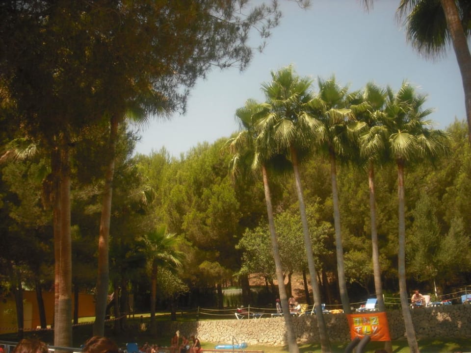 Animationspool Valentin Grand Park Suite Hotel