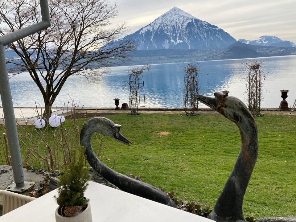 Ausblick Beatus Wellness- & Spa-Hotel