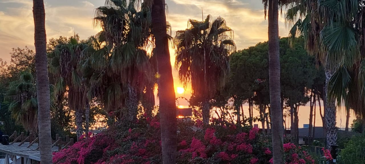 Gartenanlage Trendy Palm Beach (Adults Only, 16+)