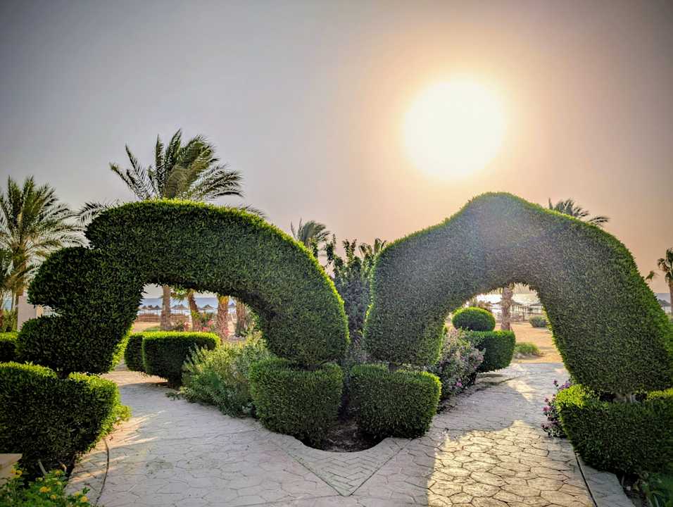 Gartenanlage Wadi Lahmy Azur Resort