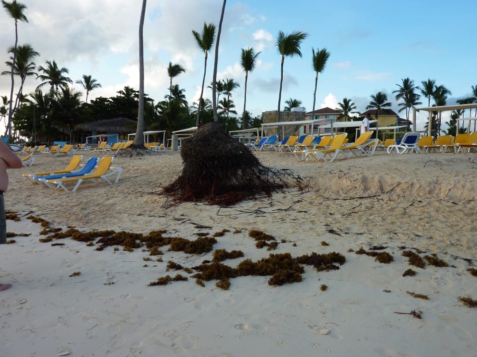 Strand mit schlechtem Sonnenschutz Ocean Blue & Sand