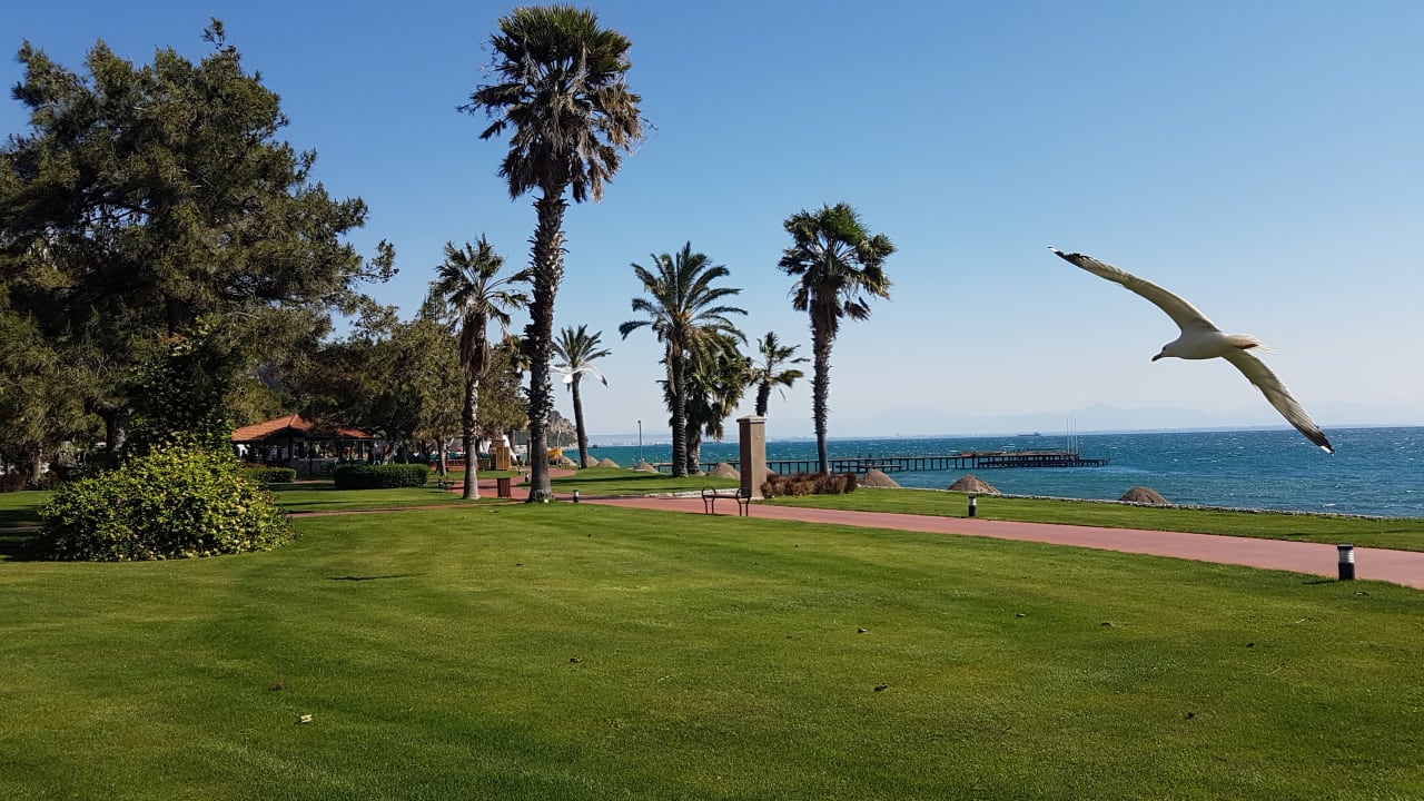 Gartenanlage TUI MAGIC LIFE Beldibi +16