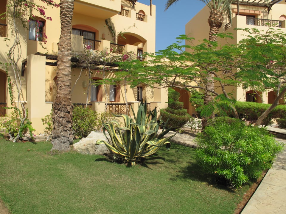 Gartenanlage Steigenberger Coraya Beach - Adults only