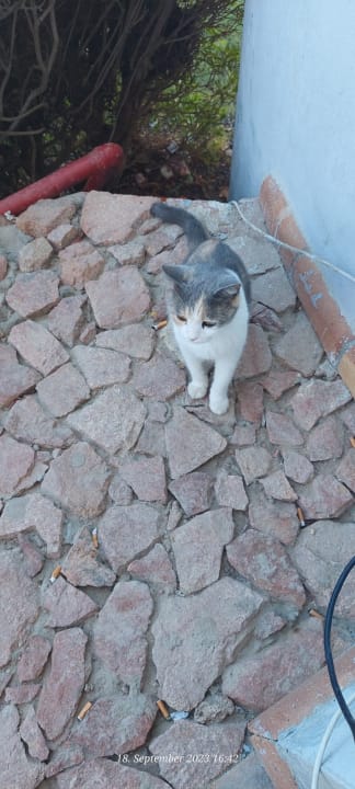 Sonstiges Hotel Three Corners Ocean View prestige - Adults only