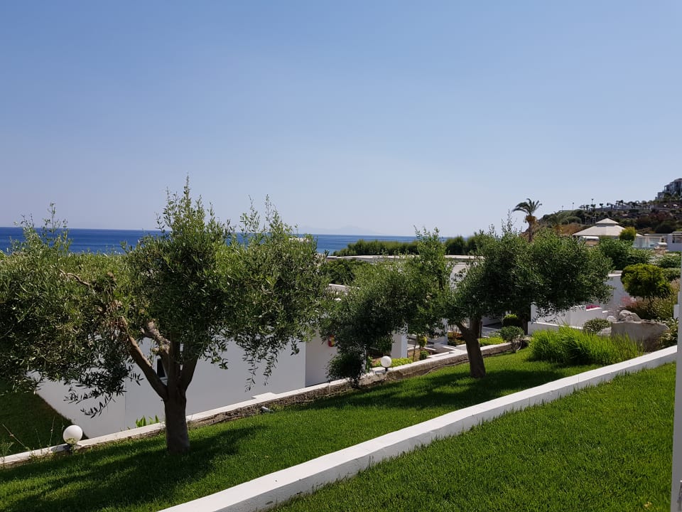 Ausblick Dimitra Beach Hotel & Suites