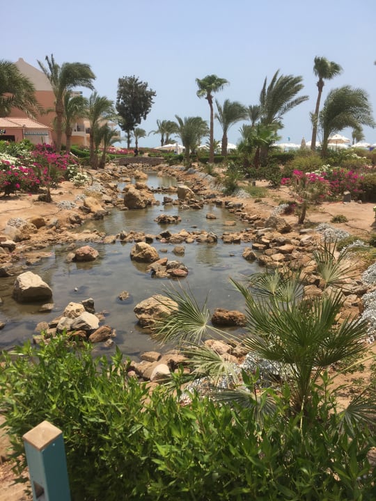 Garten Mövenpick Resort & Spa El Gouna