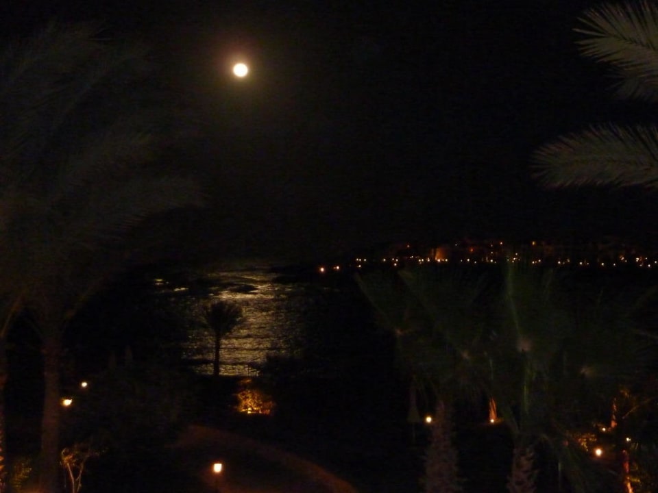 Mond um ca. 19:00 Uhr Steigenberger Coraya Beach - Adults only