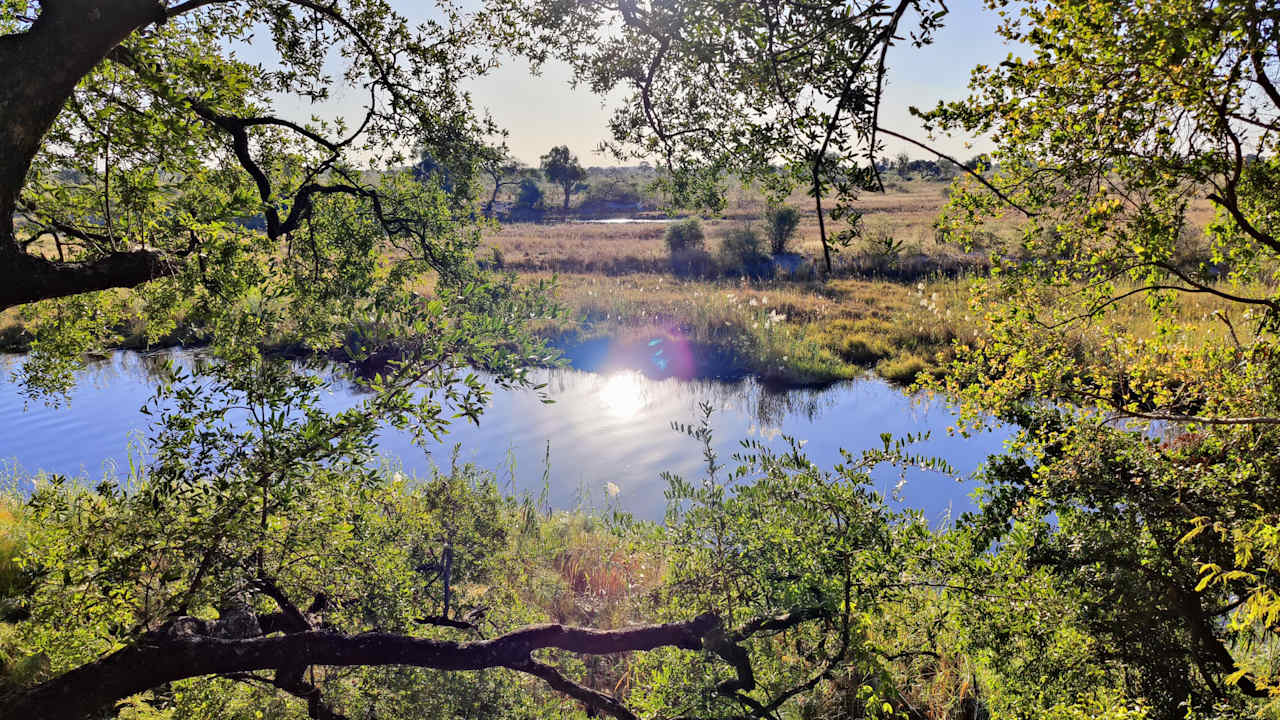 Ausblick Sharwimbo River Camp