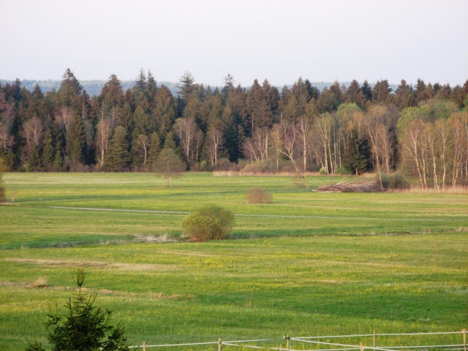 Blick vom Balkon Landhotel Alte Mühle