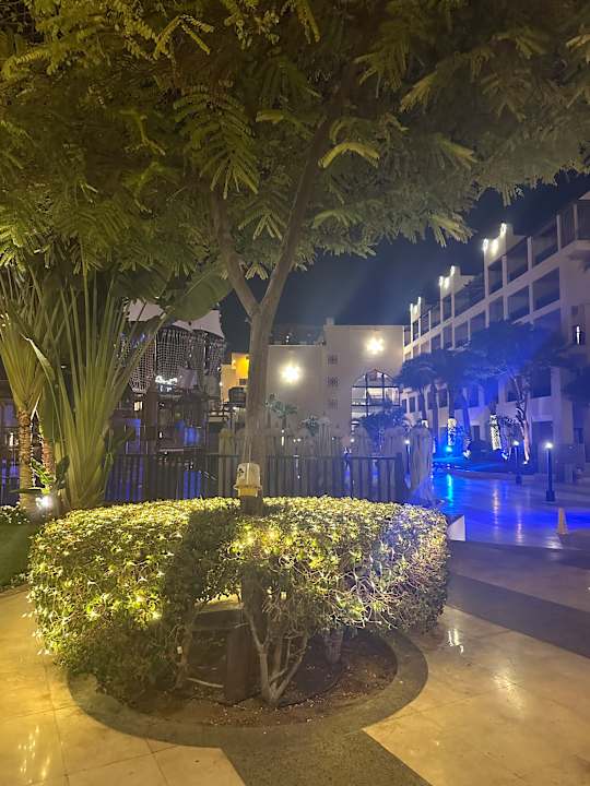 Lobby Steigenberger Aqua Magic