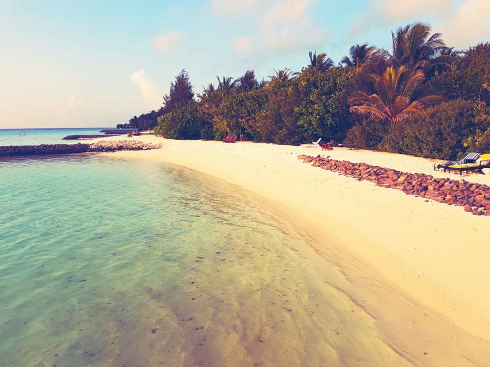 Strand  Summer Island Maldives