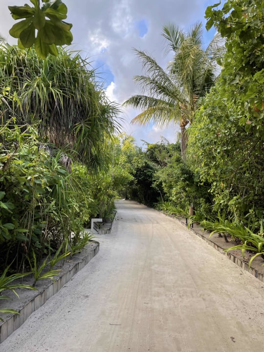 Gartenanlage NH Collection Maldives Havodda Resort