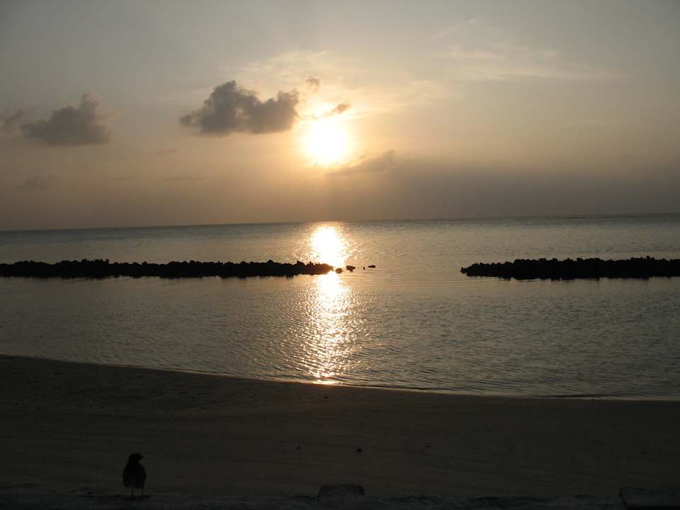 Abendstimmung/Sonnenuntergang Summer Island Maldives