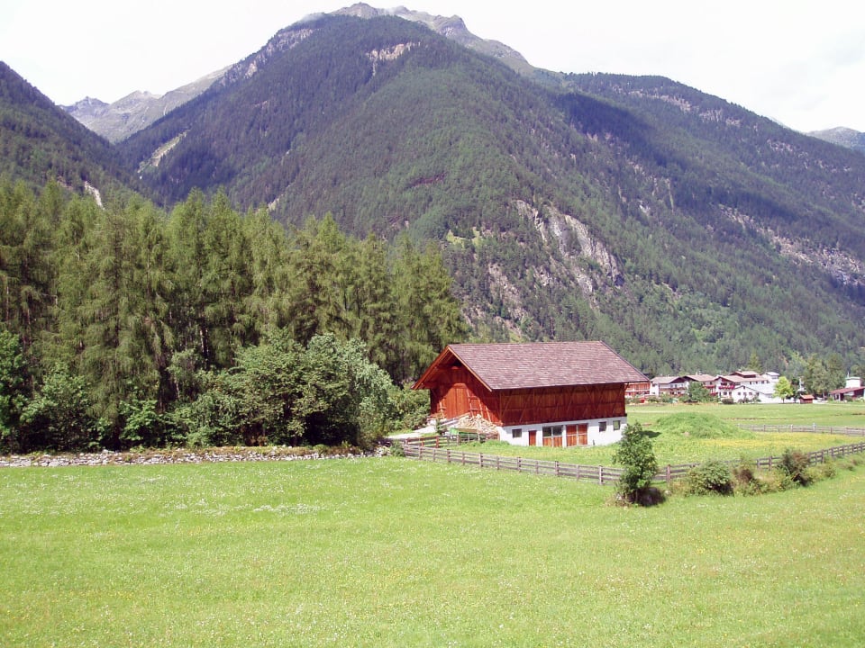 Sommer: Ausblick direkt von der Ferienwohnung Feirenwohnung / Appartement Frischmann Klaudia in Umhausen / Ötztal
