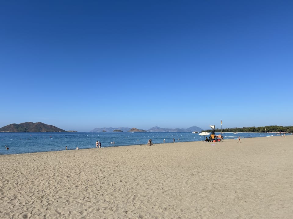 Strand Liberty Signa