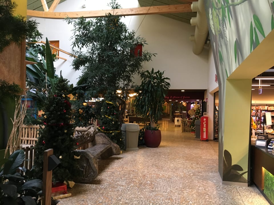 Lobby Center Parcs Park Bostalsee